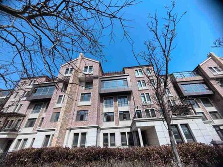 青岛市开发区漓江西路1667号17栋2单元401户房产