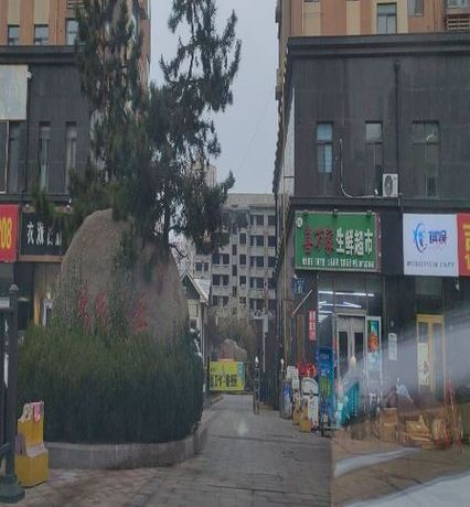 山东省青岛市黄岛区大连路96号2栋1单元1302户