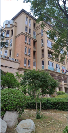 山东省青岛市李沧区金水路 699 号 62 号楼 1单元301户 可贷款此标的物可提供贷款，具体请查看详情中的银行信息