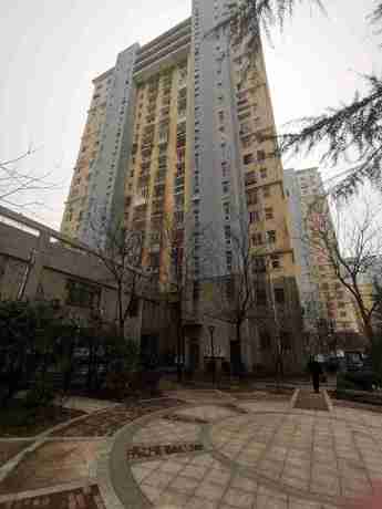 青岛市市北区劲松一路200号17号楼1单元903户房产